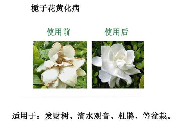 ���၆�F�����ЙC���ڻ����ϵ�Ч��չ�F��������Ϣ����ԃ13838587319